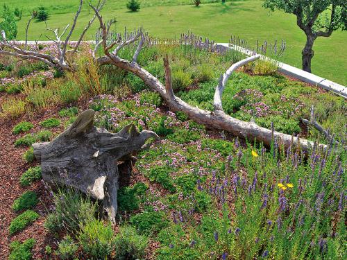 Roof garden with herbs and dead wood